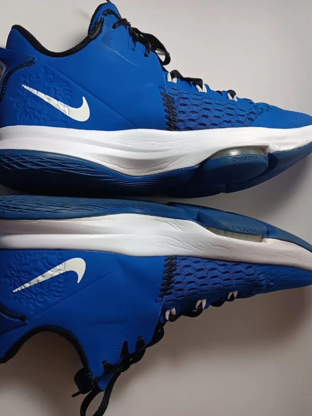 Nike Le Bron  witness 5 game royal blue white basketball shoes CQ9380-400 men